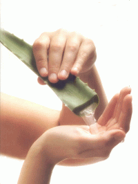 gel aloe vera AGHD srl